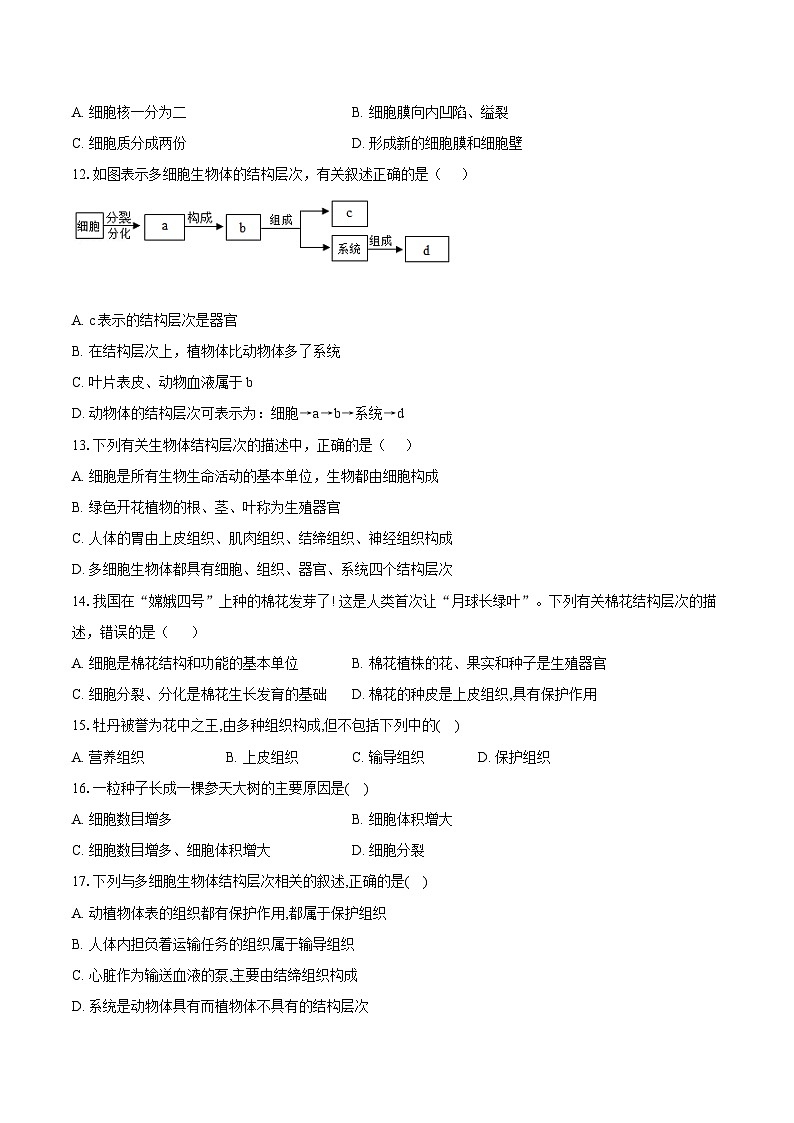 苏教版（2024新版）七年级上册生物第1~3章综合测试卷（含答案解析）03