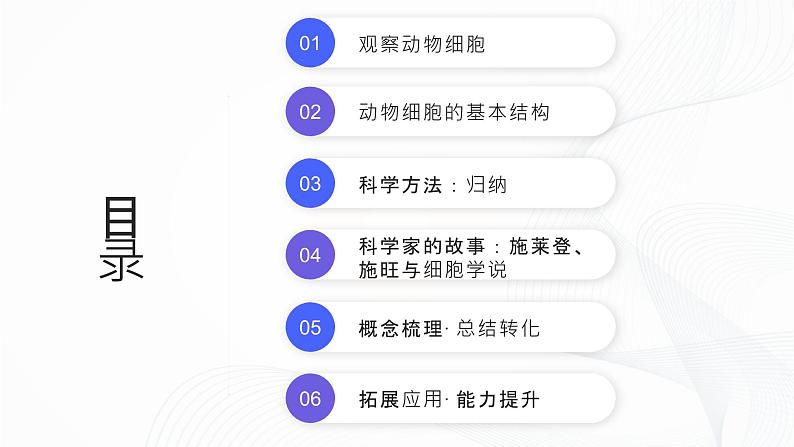 1.2.3 动物细胞-初中生物七年级上册 同步教学课件+教学设计（人教版2024）02