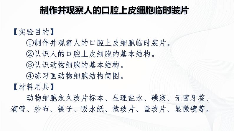 1.2.3 动物细胞-初中生物七年级上册 同步教学课件+教学设计（人教版2024）07