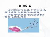 1.2.4 细胞的生活-初中生物七年级上册 同步教学课件+教学设计（人教版2024）