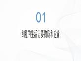 1.2.4 细胞的生活-初中生物七年级上册 同步教学课件+教学设计（人教版2024）
