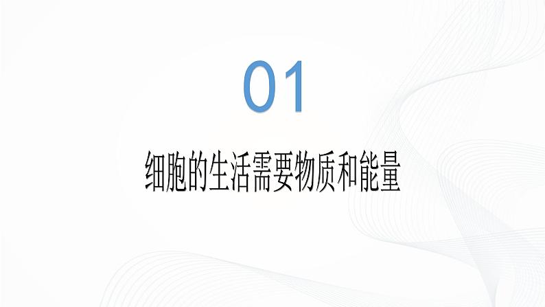 1.2.4 细胞的生活-初中生物七年级上册 同步教学课件+教学设计（人教版2024）05