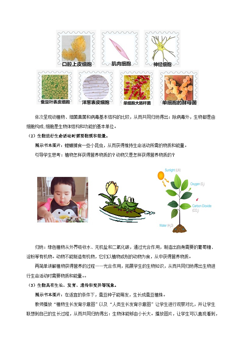 1.1 生物与生物学-2024-2025学年七年级上册生物教学设计（苏科版2024）第3页