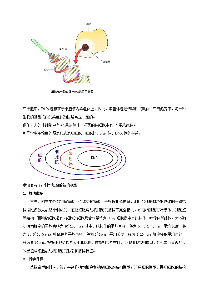4.1 细胞是生物体结构和功能的基本单位（第3课时）-2024-2025学年七年级上册生物教学设计（苏科版2024）第3页