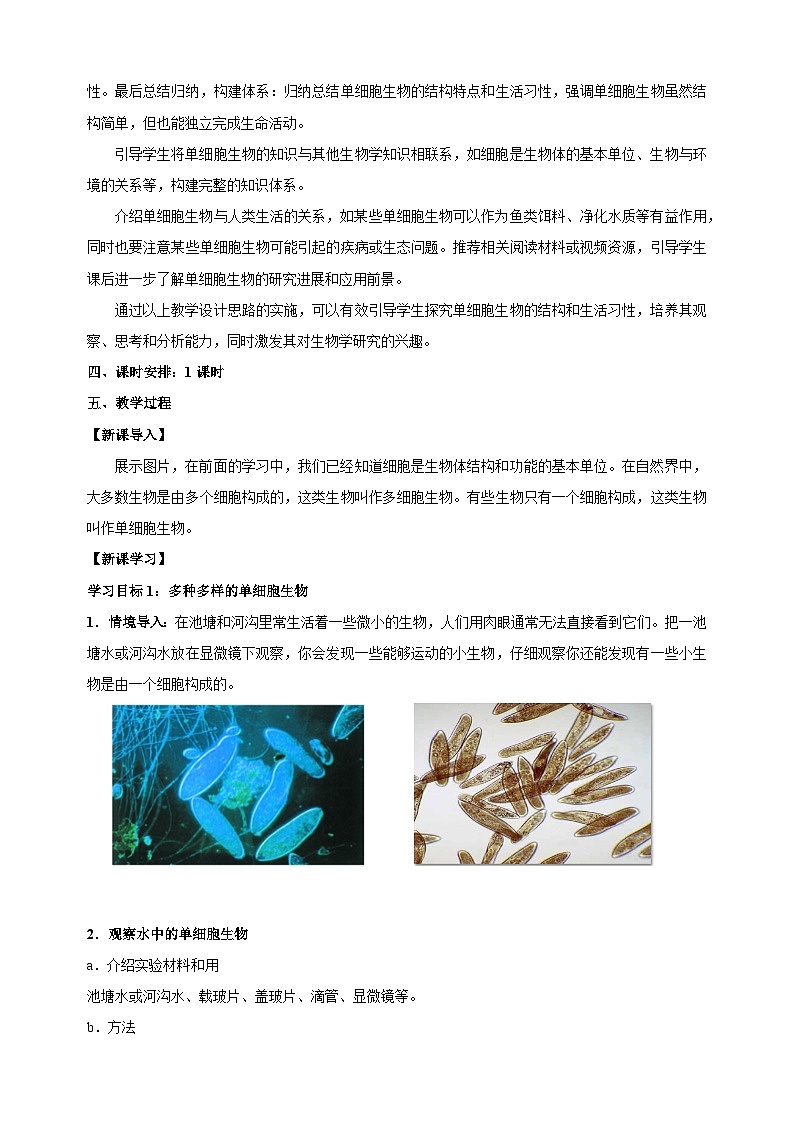 4.2 单细胞生物-2024-2025学年七年级上册生物教学设计（苏科版2024）第2页