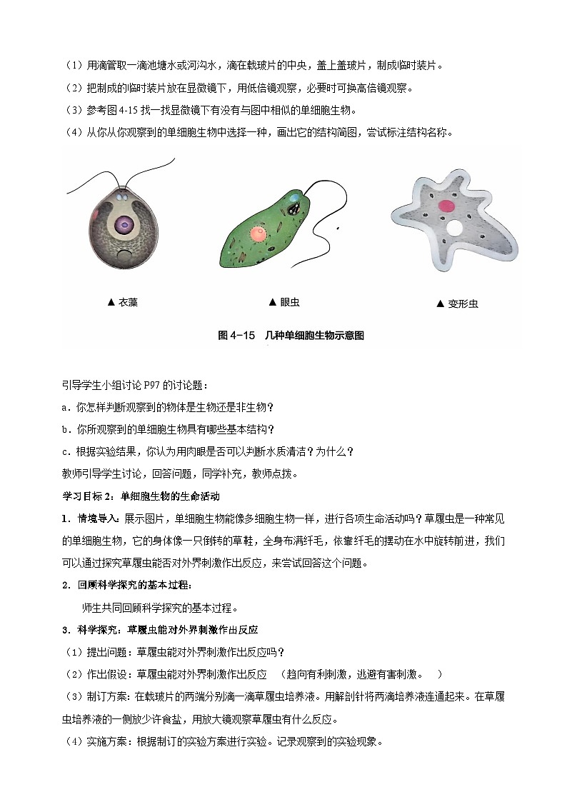 4.2 单细胞生物-2024-2025学年七年级上册生物教学设计（苏科版2024）第3页