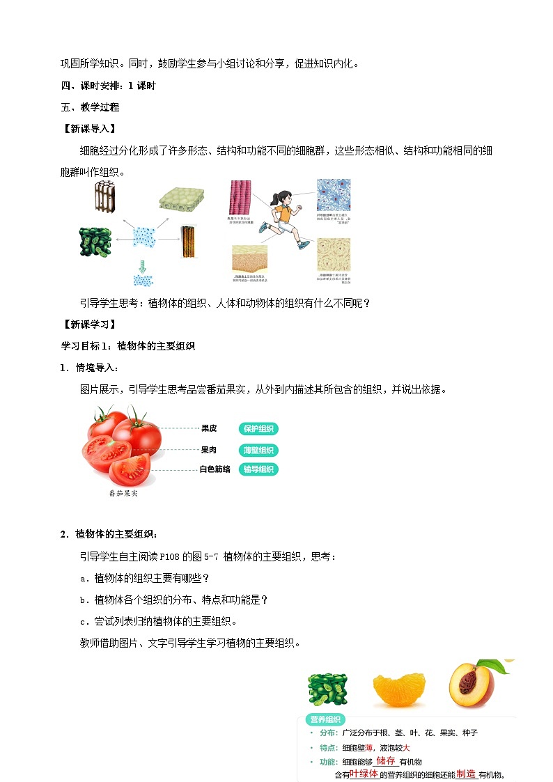 5.1 细胞的分裂与分化（第2课时）学-2024-2025学年七年级上册生物教学设计（苏科版2024）第2页