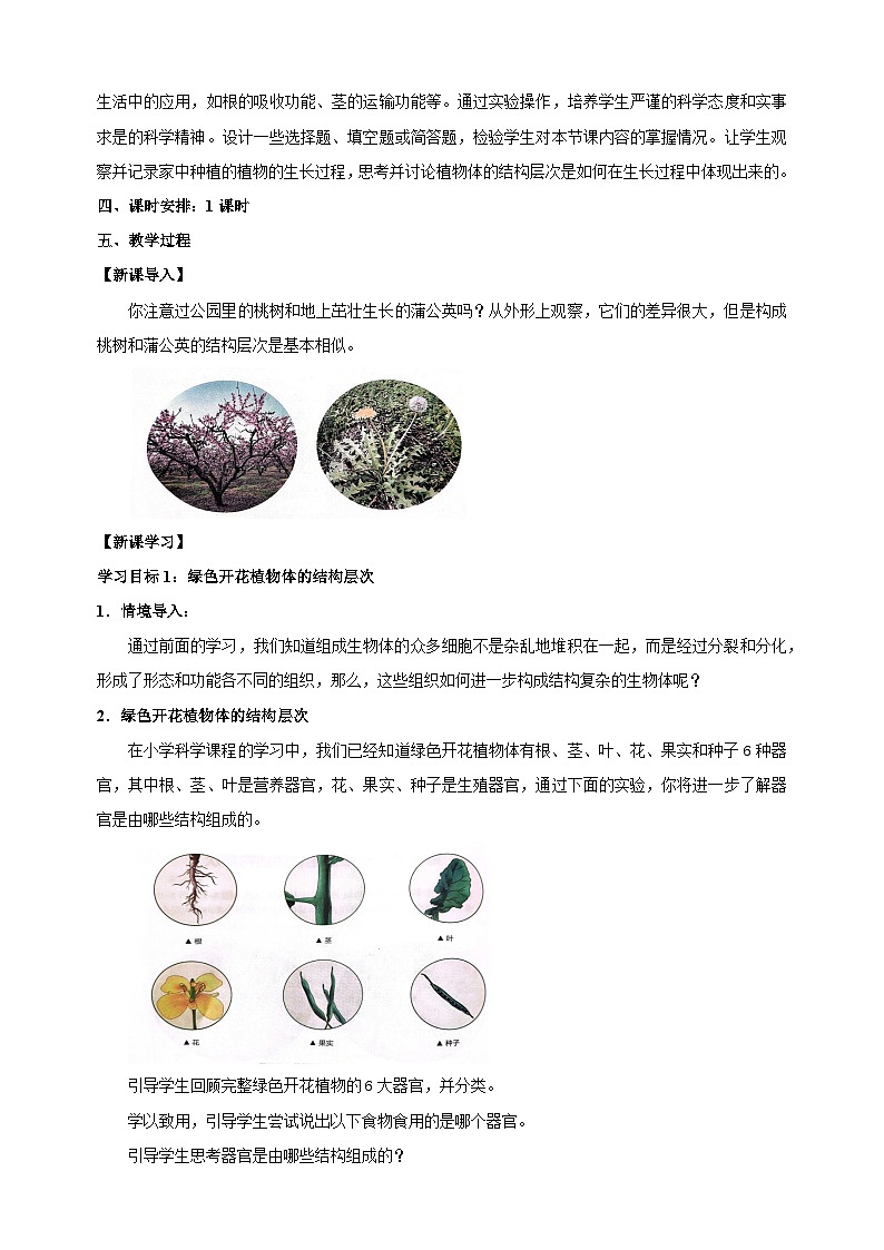 5.2 多细胞生物的结构层次（第1课时）-2024-2025学年七年级上册生物教学设计（苏科版2024）第2页