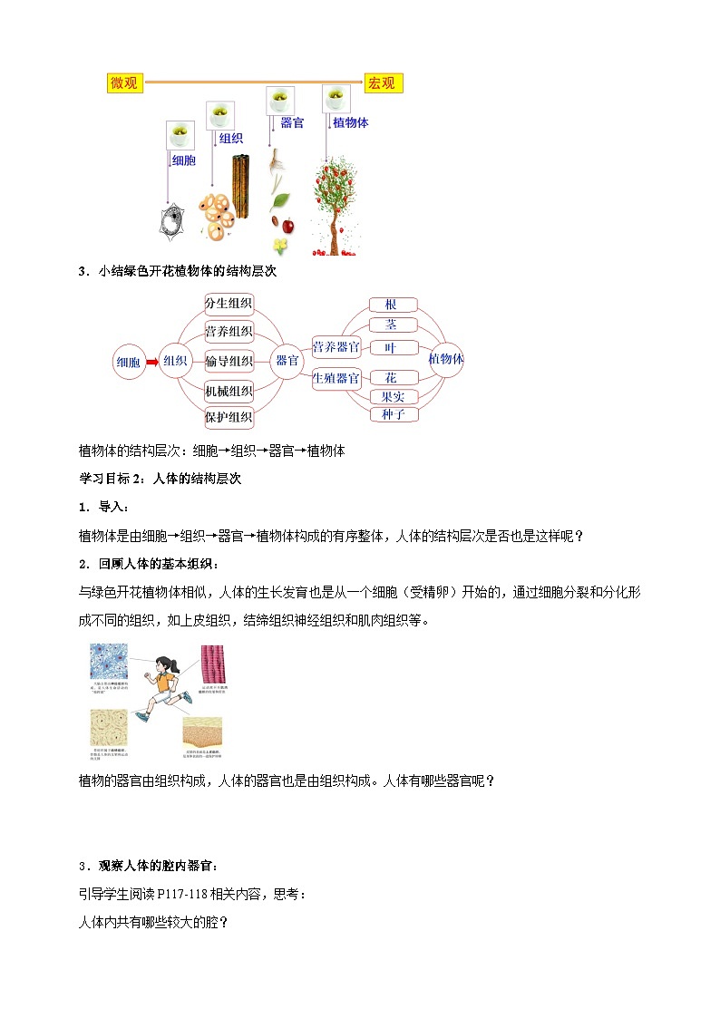 5.2 多细胞生物的结构层次（第2课时）-2024-2025学年七年级上册生物教学设计（苏科版2024）03