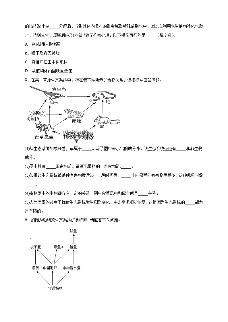 3.3 维护生态系统的稳定-2024-2025学年七年级上册生物同步练习（苏科版2024）第3页