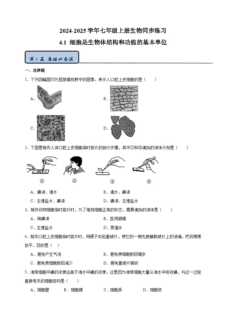 4.1 细胞是生物体结构和功能的基本单位-2024-2025学年七年级上册生物同步练习（苏科版2024）第1页