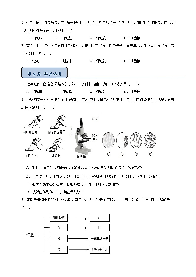 4.1 细胞是生物体结构和功能的基本单位-2024-2025学年七年级上册生物同步练习（苏科版2024）第2页