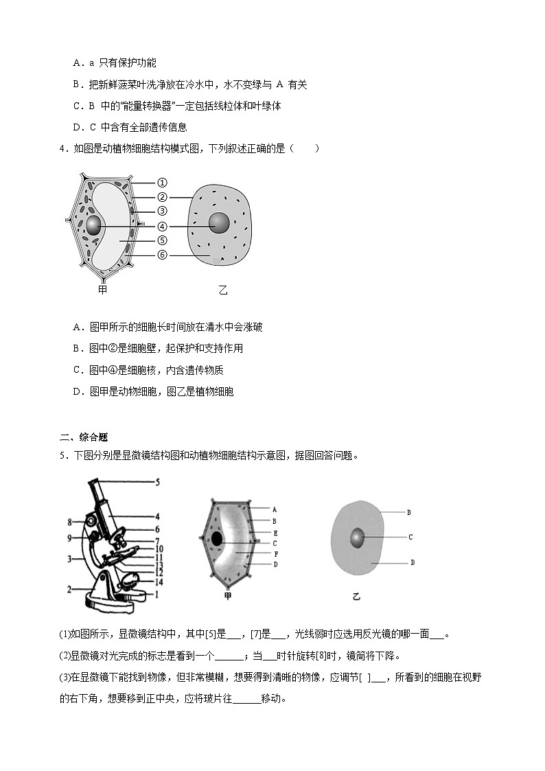 4.1 细胞是生物体结构和功能的基本单位-2024-2025学年七年级上册生物同步练习（苏科版2024）第3页