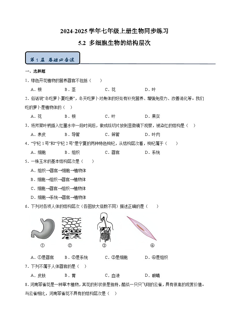 5.2 多细胞生物的结构层次-2024-2025学年七年级上册生物同步练习（苏科版2024）第1页