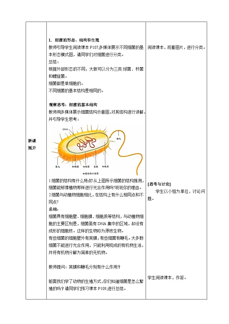 第二单元多种多样的生物第三章微生物第二节细菌核心素养教案2024新人教版生物七年级上册02