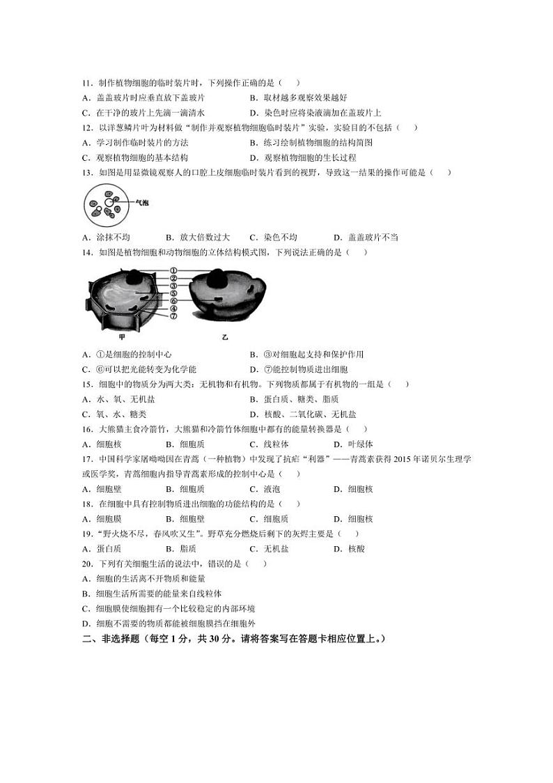 [生物]河南省信阳市平桥区2024～2025学年七年级上学期10月月考试题(有答案)02