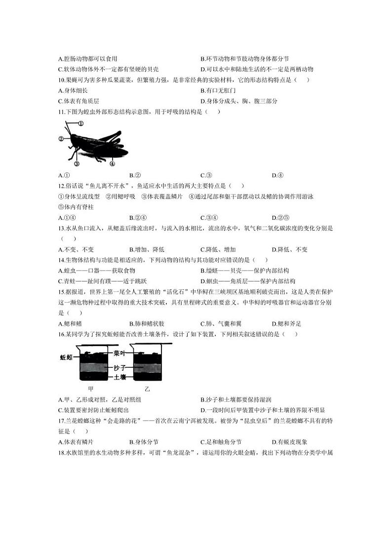 [生物]江西省鹰潭市余江区正源学校2024～2025学年八年级上学期10月月考试题(有答案)02