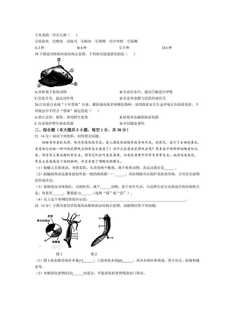 [生物]江西省鹰潭市余江区正源学校2024～2025学年八年级上学期10月月考试题(有答案)03