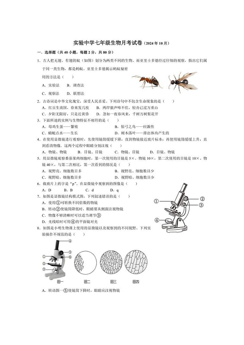 [生物]山东省临沂市沂水县沂水实验中学2024～～2025学年七年级上学期10月月考试卷(有答案)第1页