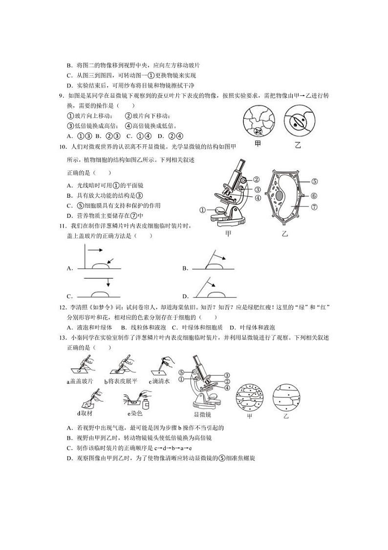 [生物]山东省临沂市沂水县沂水实验中学2024～～2025学年七年级上学期10月月考试卷(有答案)第2页