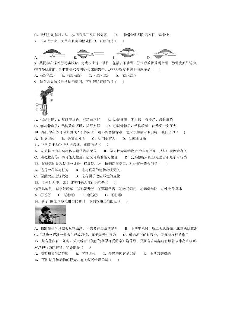 [生物]安徽省淮北市第一中学2024～2025学年八年级上学期10月月考试题(有答案)第2页