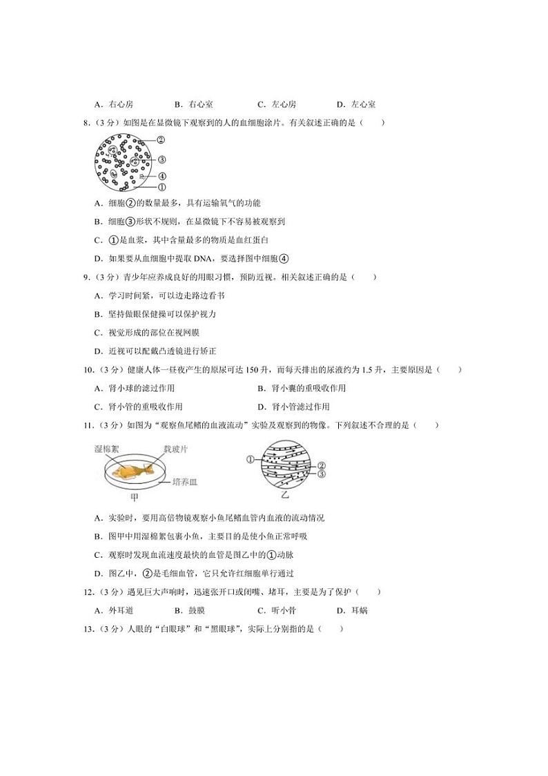 [生物][期中]江苏省宿迁市宿城区2023～2024学年八年级上学期期中考试试卷(有解析)第2页