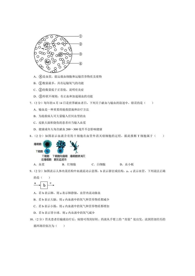 [生物][期中]江苏省扬州市仪征市2023～2024学年八年级上学期期中考试试卷(有解析)02