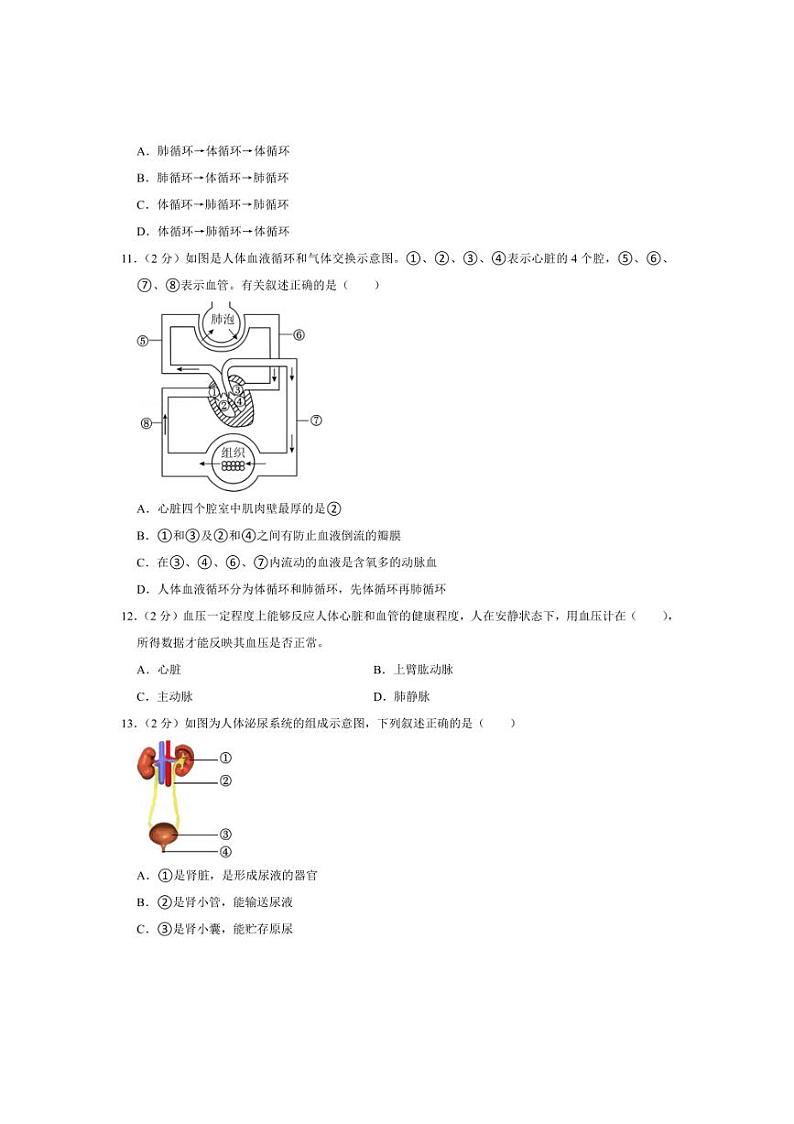 [生物][期中]江苏省扬州市仪征市2023～2024学年八年级上学期期中考试试卷(有解析)03