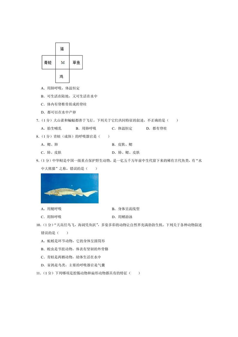 [生物]河南省南阳市内乡县瓦亭中学2024～2025学年八年级上学期9月份月考试卷(有解析)第2页