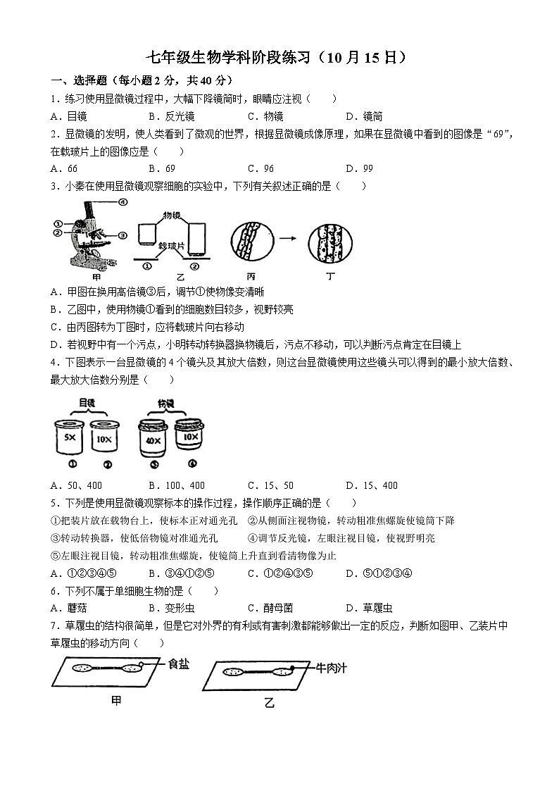 河北省石家庄第28中学2024--2025学年七年级上学期10月月考生物试题(无答案)第1页