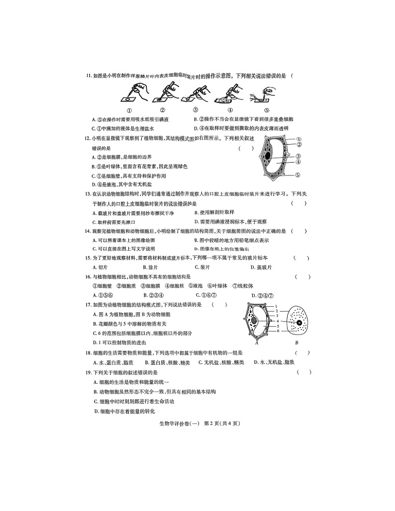 河南省南阳市南召县2024-2025学年七年级上学期10月月考生物试题02