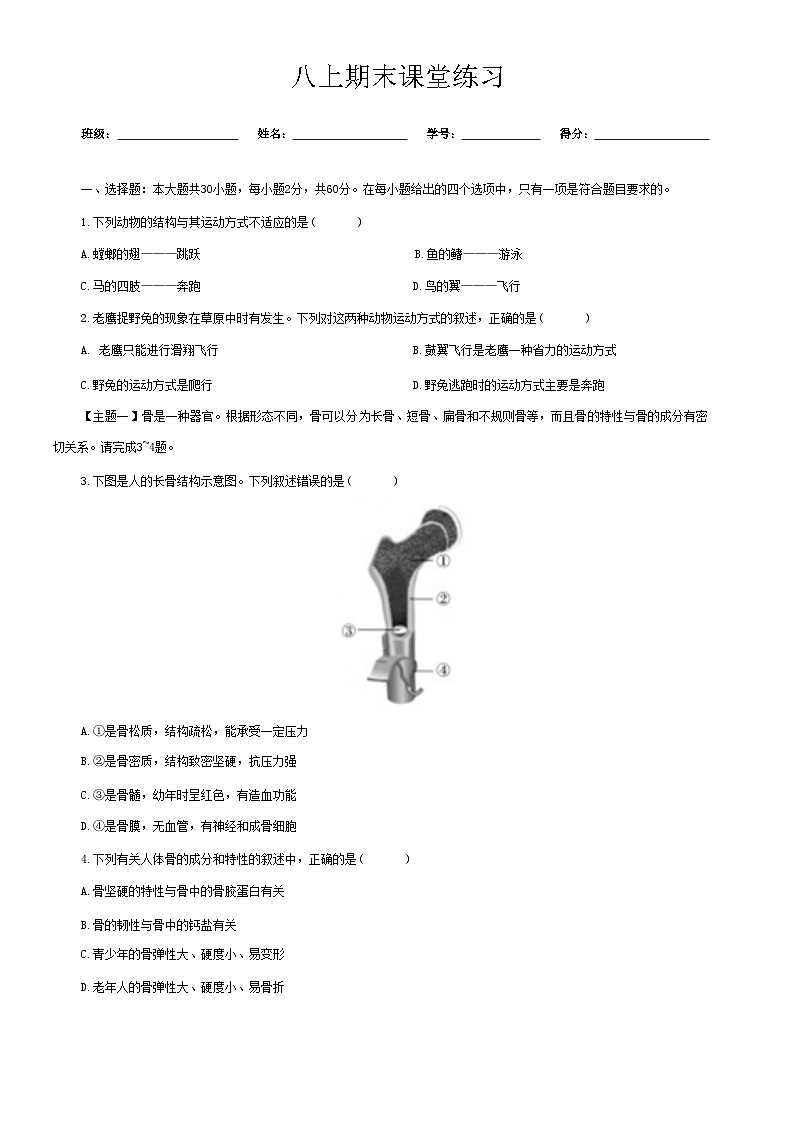 广东省梅州市兴宁市2024-2025学年八年级上学期期末课堂练习生物试题01