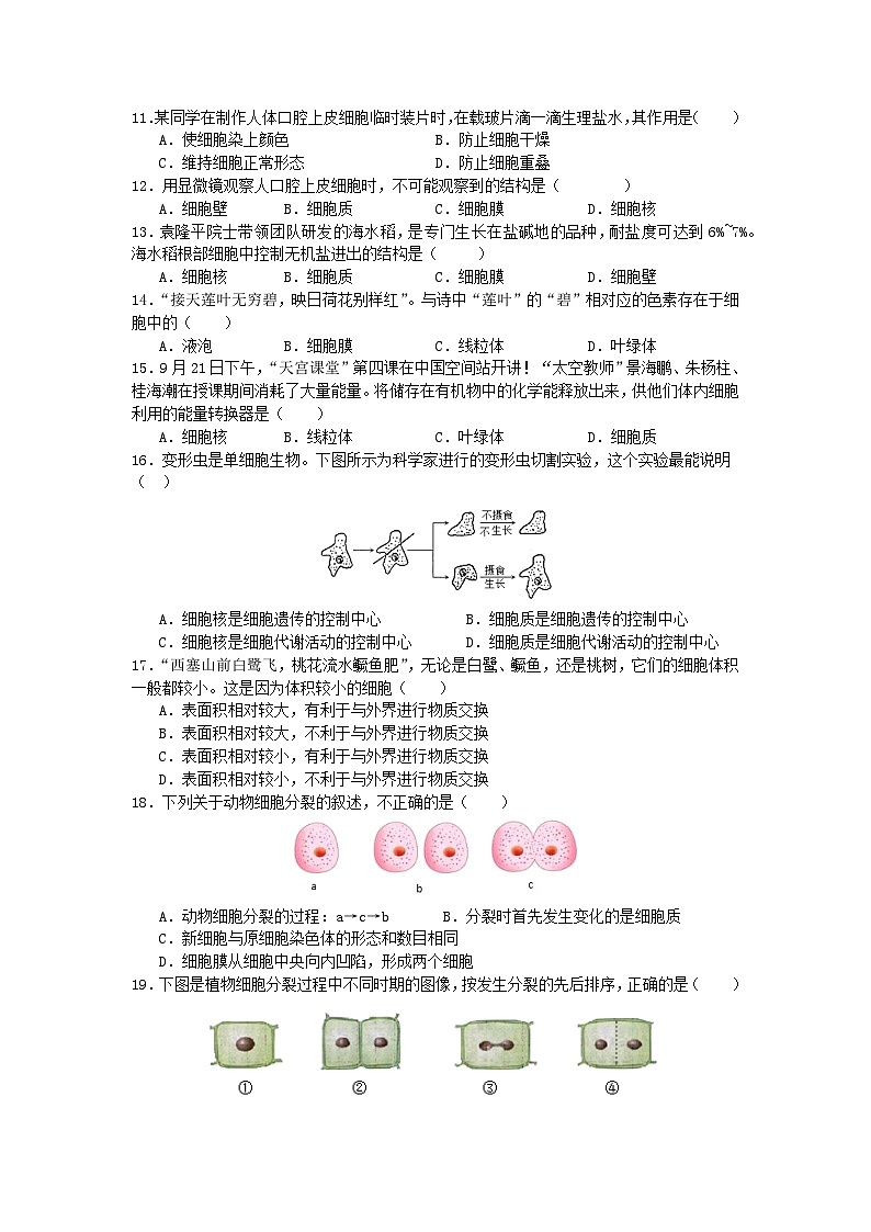 期中考试模拟练习（1-3章）-2024-2025学年北师大版生物七年级上册第2页