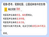 24秋七年级生物上（RJ）精品教学课件（新教材） 第1单元 生物和生物圈 1.1.1观察周边环境中的生物
