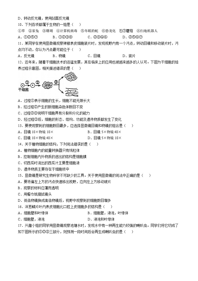 河北省廊坊市第六中学2024-2025学年七年级上学期10月月考生物试题(无答案)02