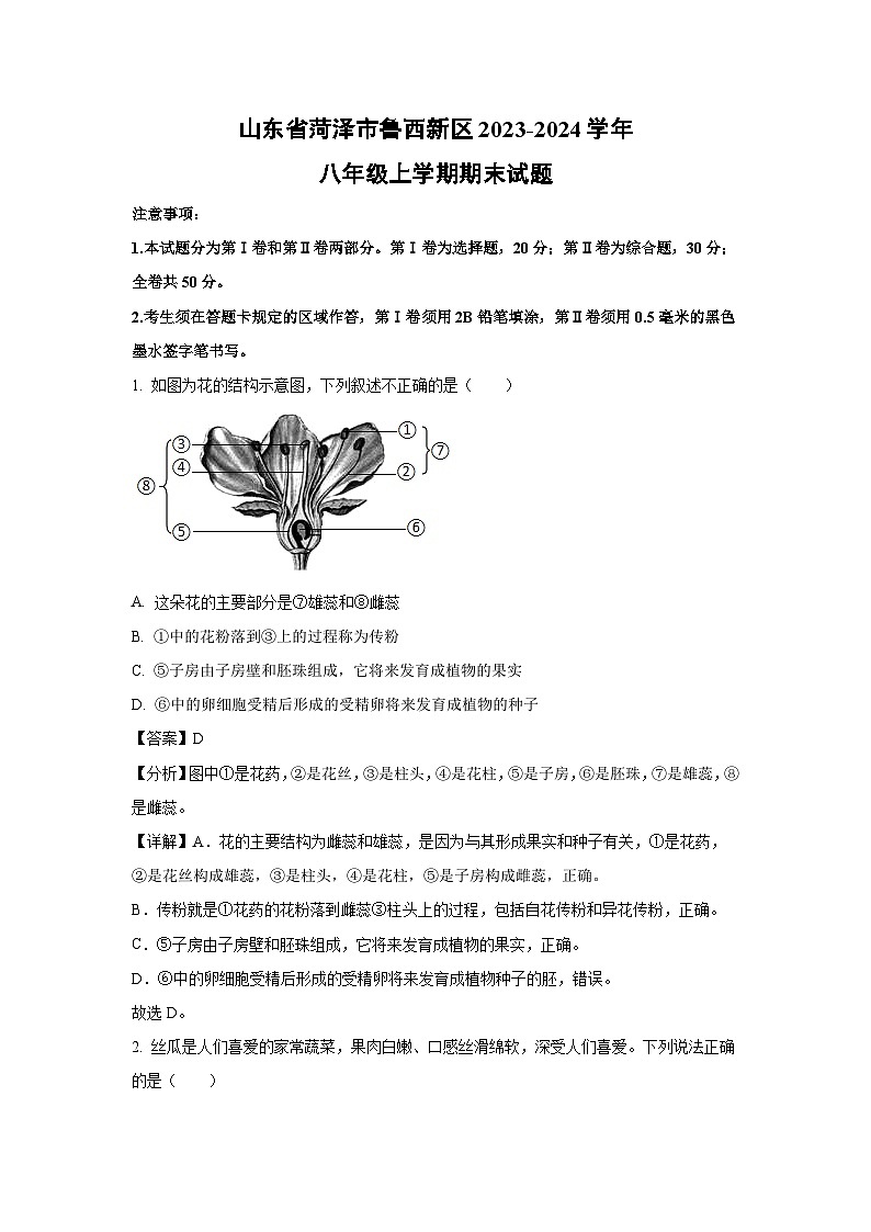 [生物][期末]山东省菏泽市鲁西新区2023-2024学年八年级上学期期末试题(解析版)第1页