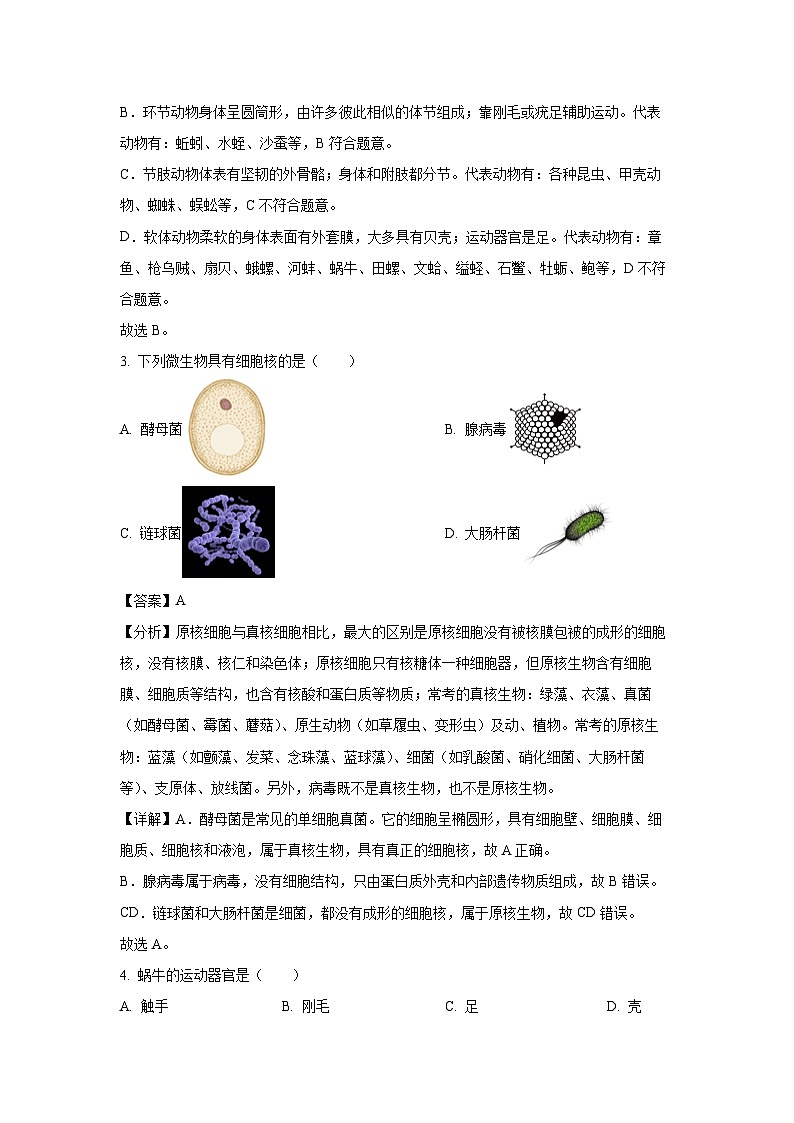 [生物][期末]陕西省咸阳市彬州市2023-2024学年八年级上学期期末试题(解析版)第2页