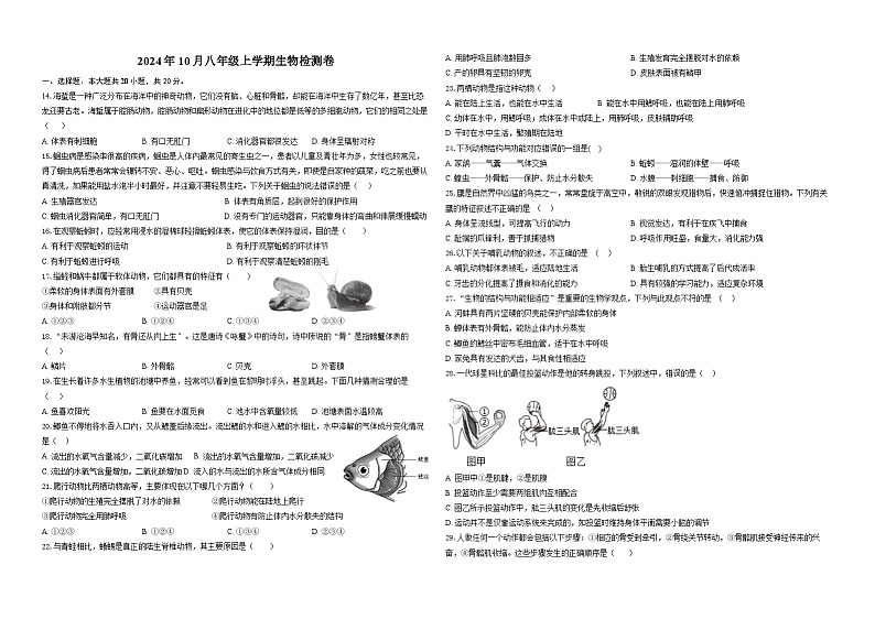 湖北省黄石市第十八中学2024-2025学年八年级上学期10月份月考生物试卷01