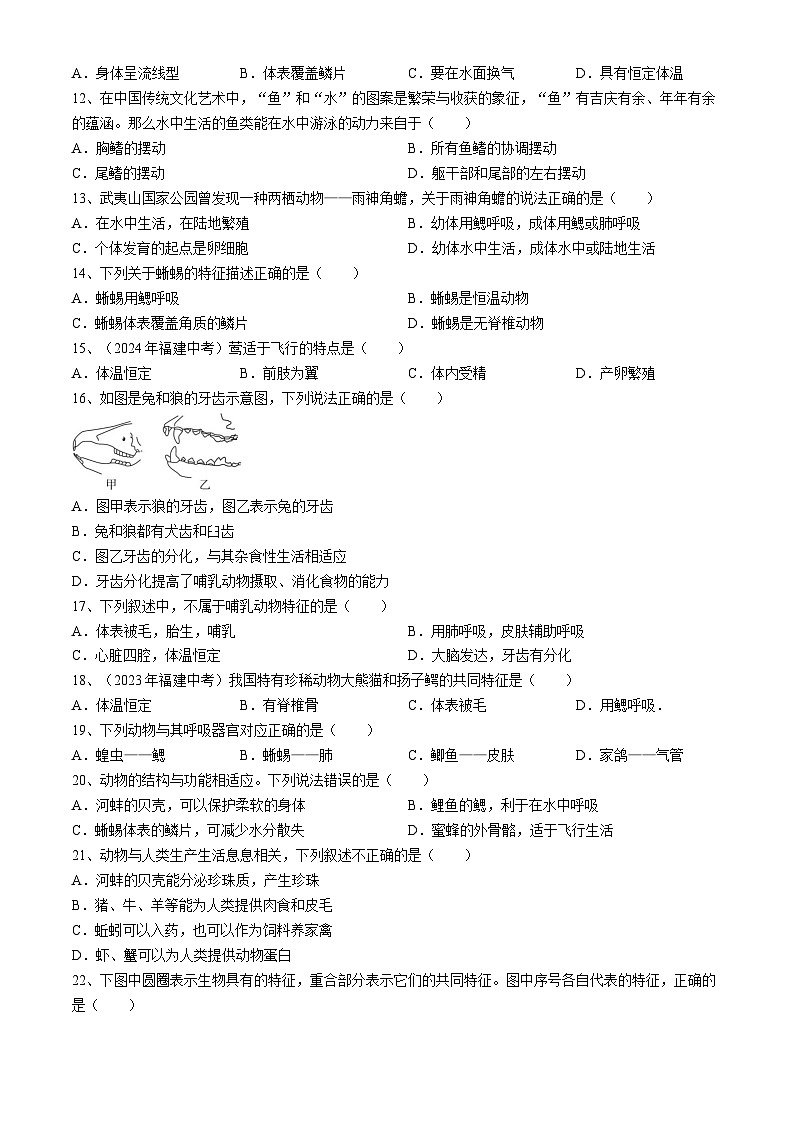 福建省泉州市永春县第二中学2024-2025学年八年级上学期第一次月考生物试题02