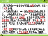 人教版七年级生物上册2.1.2《种子植物》⁮教学课件