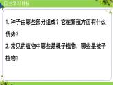 人教版七年级生物上册2.1.2《种子植物》⁮教学课件