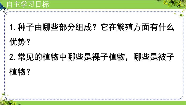 人教版七年级生物上册2.1.2《种子植物》⁮教学课件第5页