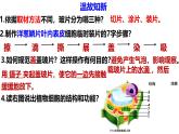 人教版生物七年级上册1.2.3《动物细胞》课件