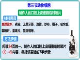 人教版生物七年级上册1.2.3《动物细胞》课件