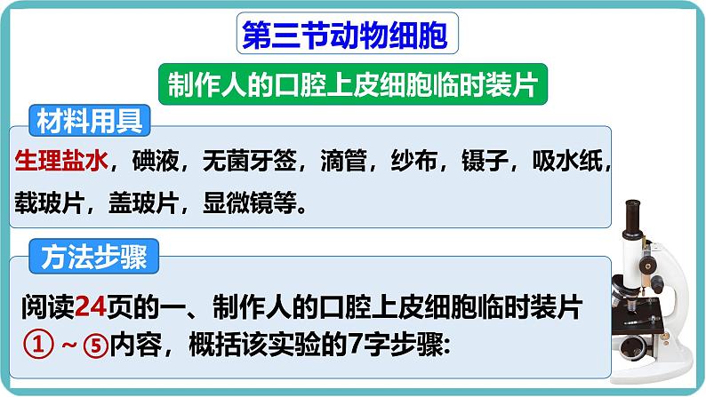 人教版生物七年级上册1.2.3《动物细胞》课件第2页