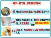 人教版生物七年级上册1.2.3《动物细胞》课件