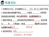 人教版生物七年级上册1.3.2《动物体的结构层次》教学课件
