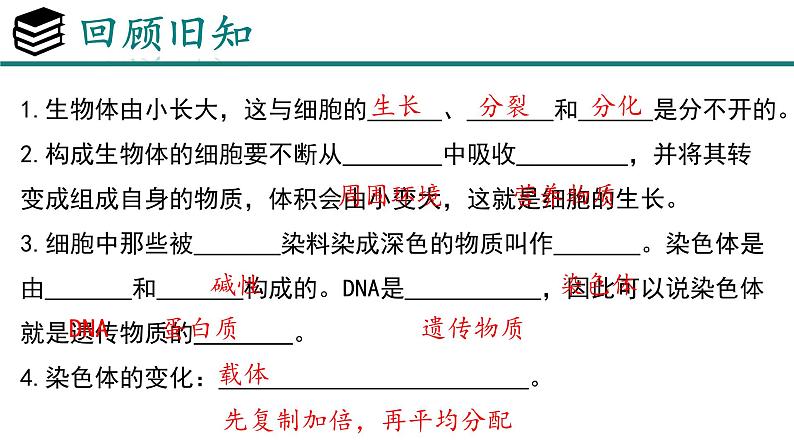 人教版生物七年级上册1.3.2《动物体的结构层次》教学课件第1页