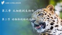 初中生物人教版(2024)七年级上册(2024)第二节 动物体的结构层次课堂教学课件ppt