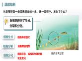 人教版生物七年级上册1.3.2《动物体的结构层次》课件